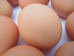 Brown hen's eggs