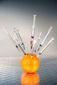 An orange with several hypodermic syringes stuck into it