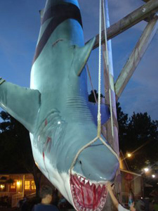 A caught shark being landed