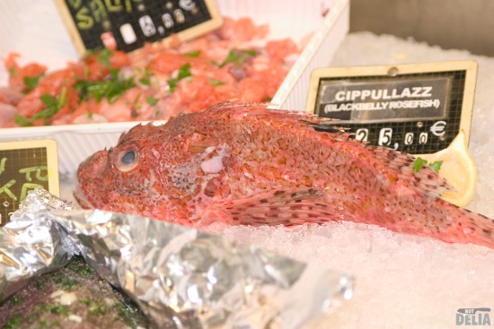 Blackbelly rosefish on ice