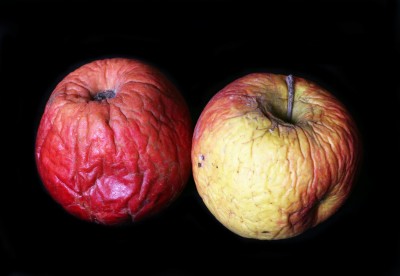 A pair of rotten apples