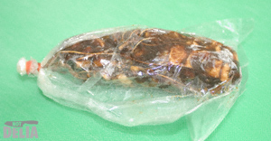 Sour tamarind - ma kham bpiak in Thai