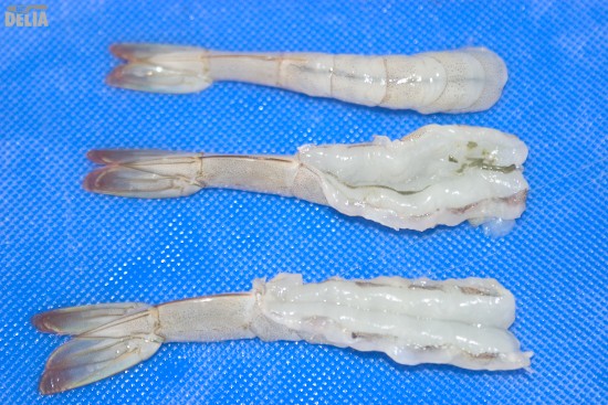 Prawns - before, during and after the butterflying process