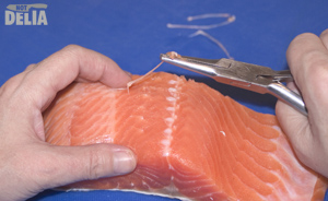 Pinboning a fillet of salmon with a pair of salmon tweezers