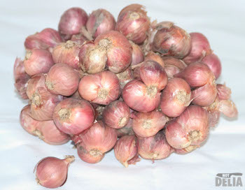 A bunch of onions for pickling