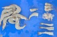 Raw prawns in various stages of the cleaning process